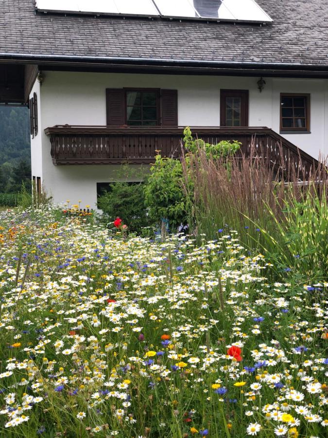 Ferienwohnung Lassendorf Hermagor-Pressegger See Extérieur photo